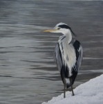 reiger aan de Schie, olieverf op linnen, 70x70cm, 2012
